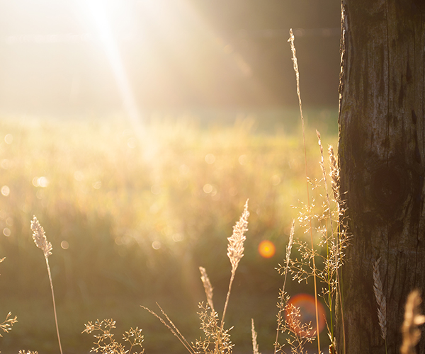 Work item brief description